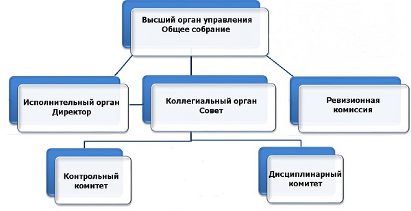 структура АСП.jpg